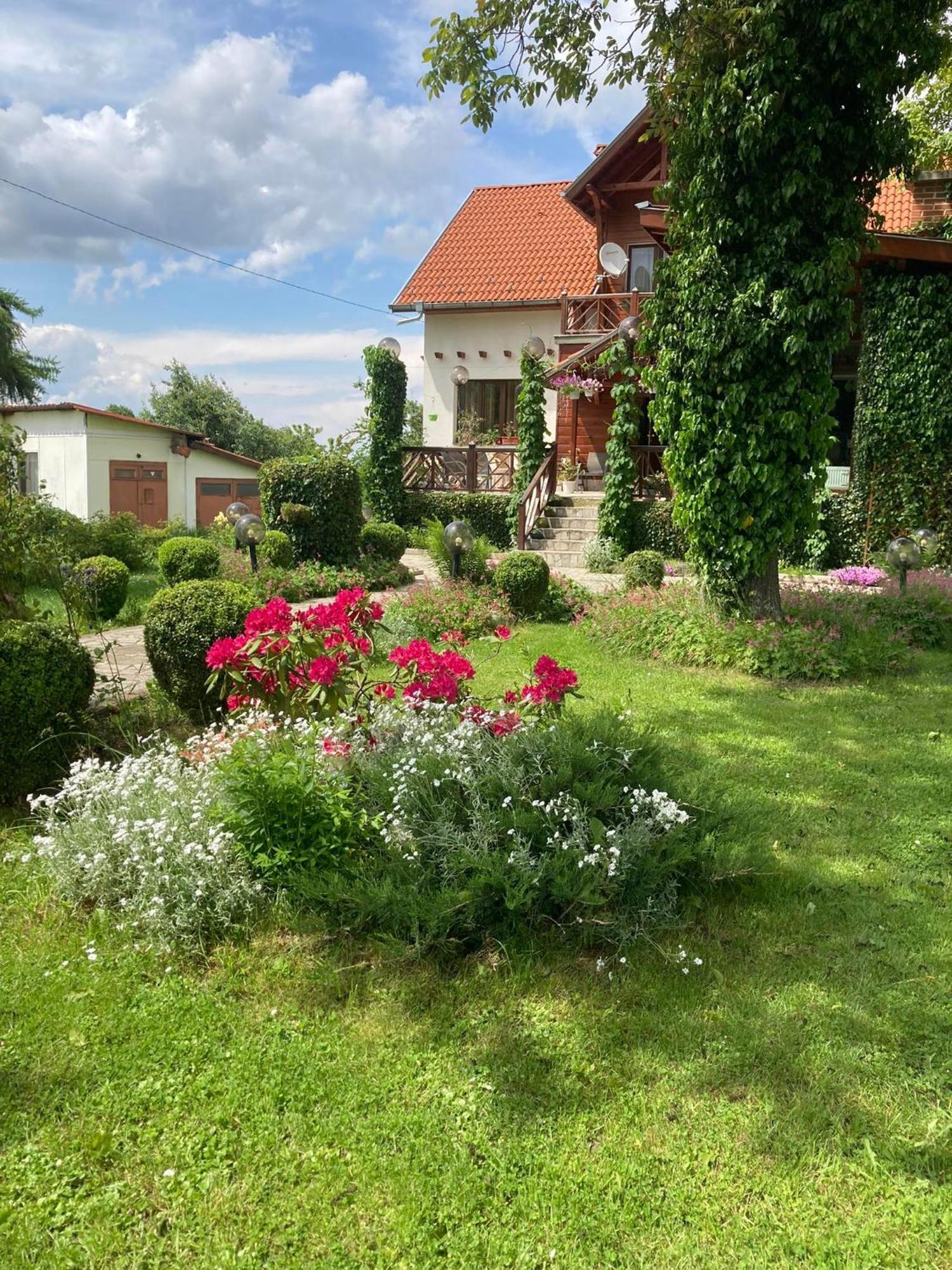 Orehite Guest House Samokov Exteriör bild