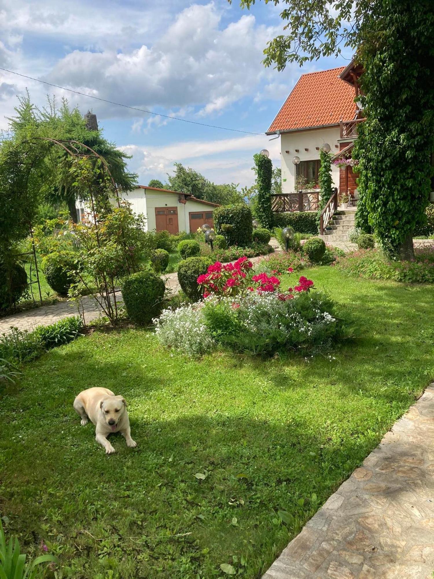 Orehite Guest House Samokov Exteriör bild